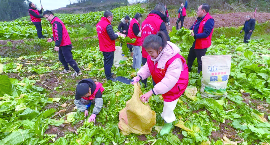 干勁十足的小朋友志愿者 記者 張小燕 攝.png